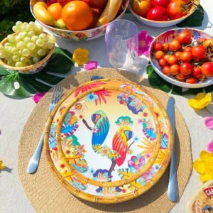 vente en ligne Les Jardins De La Comtesse Grande Assiette Plate Mélamine Motif Perroquet Et Dégradé Orange 28 Cm 6