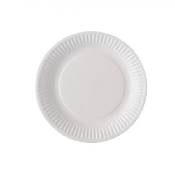 le grand escompte Lot De100 Assiettes Jetables Blanches En Carton 18 Cm 1